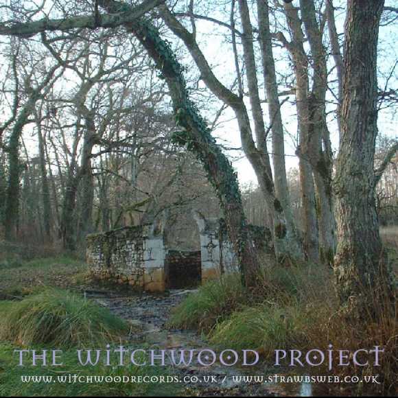 The Witchwood Project cover