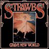 Grave New World cover