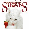 A Taste Of Strawbs  cover