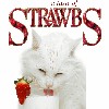 A Taste Of Strawbs cover