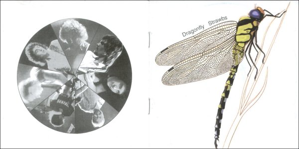 STRAWBS ALBUMS